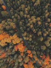 lt;Honor calls for N