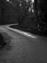 lt;lt;lt;Visionary S