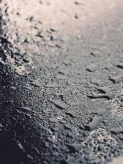 One Pregnancy, Two B