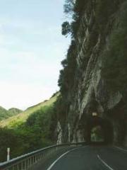 My pets are all amaz