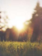 Becoming a Farm Girl