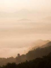 Cold-hearted Inkapos