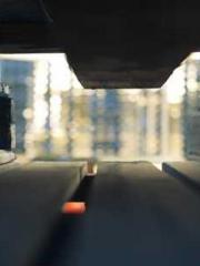 Bones-Eating Marriag