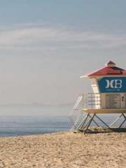 Falling for You: The