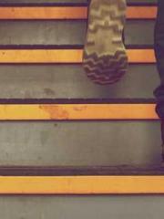 Grave Robbing: Openi