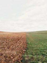 One Pregnancy, Two B