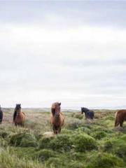 lt;lt;lt;Visionary S