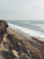 My rewards double au