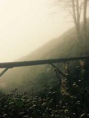 Become a big shot in