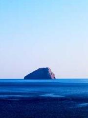 lt;Liang Yimo Cold N