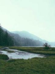 On our wedding night