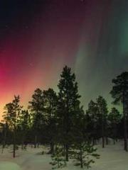 Ling Hao Qin Yuxin R