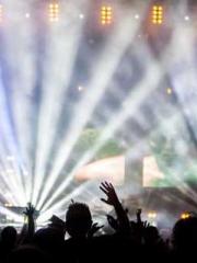 The Ugly Womanapos;s