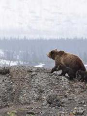 A Wifeapos;s Plea fo