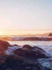 lt;Natural Disasters