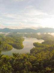 I Picked Up a Cultiv