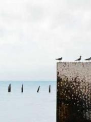 Spring fills Beijing