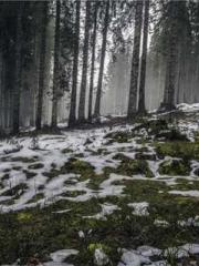 lt;gt;The son of a w